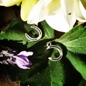 Horseshoe Earrings